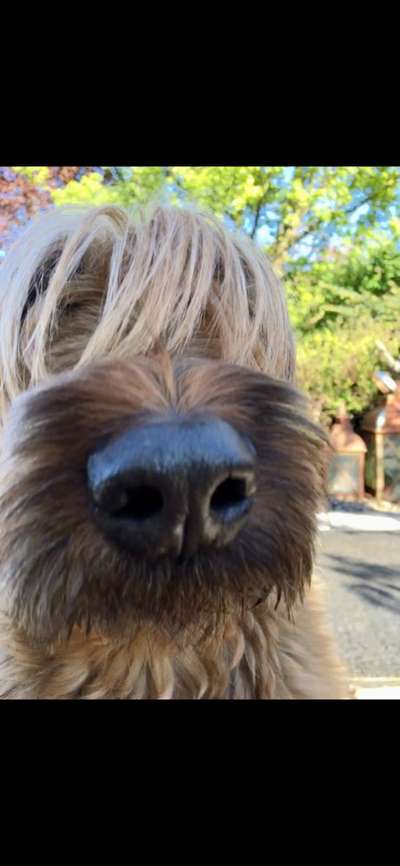 42. Handy Fotochallenge - Den richtigen Riecher haben-Beitrag-Bild