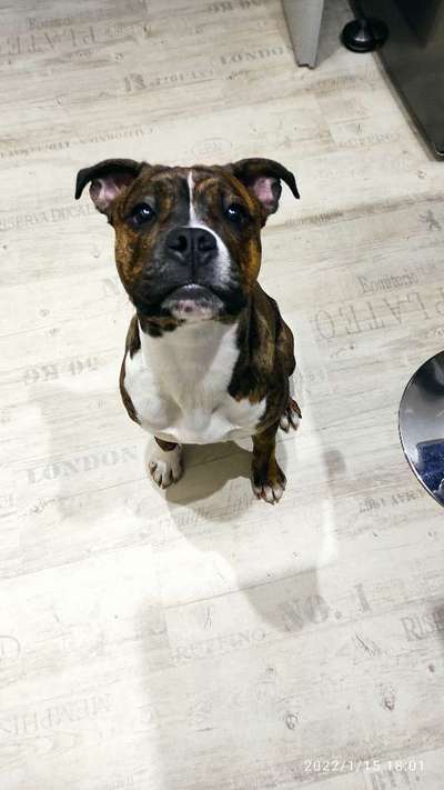 Handy-Foto Challange Nr. 10-Beitrag-Bild