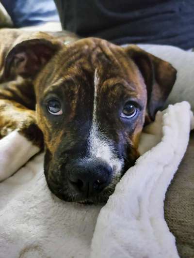 Fotochallange Nr. 57     PORTRÄT.   Beendet!!!!!!!!-Beitrag-Bild