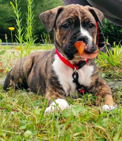 Fotochallange Nummer 5-Beitrag-Bild