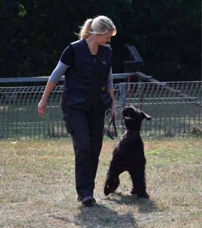 Giftköder-Auslauf- und Gassiservice-Bild