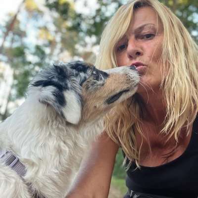 Hundetreffen-Gemeinsame Spaziergänge-Bild