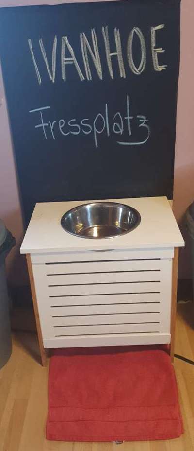 Bastelstunde für den Vierbeiner-Beitrag-Bild