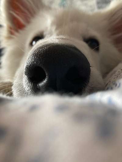 Blick fürs Detail!-Beitrag-Bild