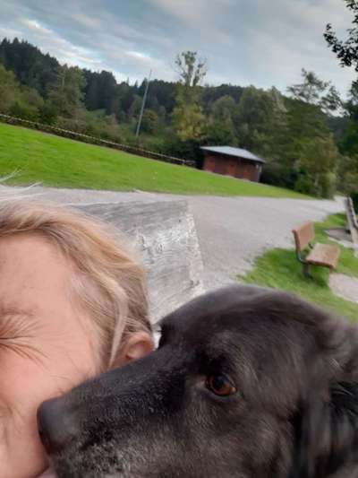 Die Dogorama Wochen Challenge: “Dein Hund im Urlaub”-Beitrag-Bild