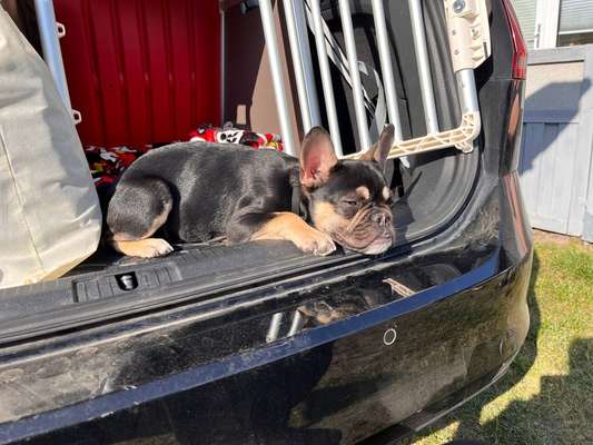 141. FOTO CHALLENGE 
Reisende soll man nicht aufhalten-Beitrag-Bild