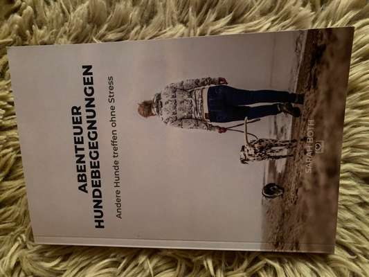 Hunde Begegnung-Beitrag-Bild