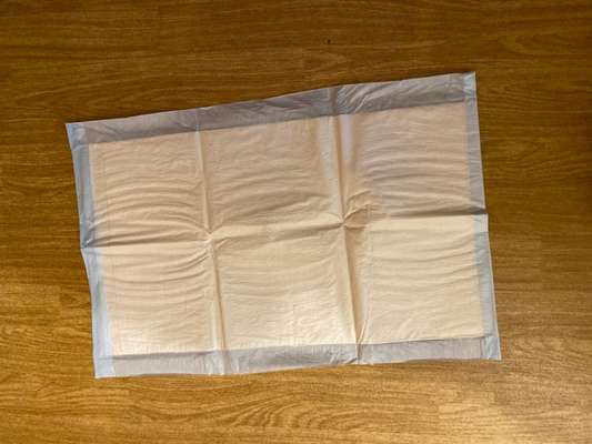 Dementer Hund weint abends im Körbchen-Beitrag-Bild