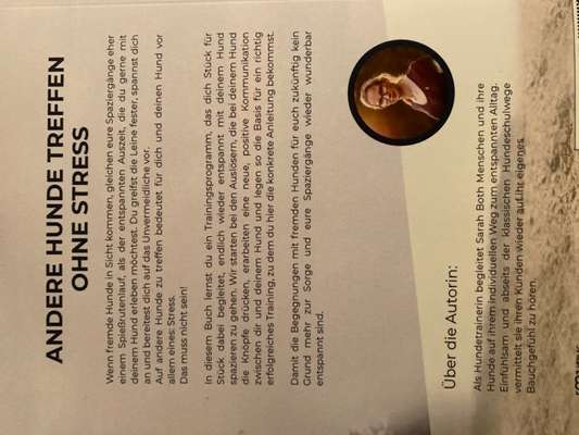 Hunde Begegnung-Beitrag-Bild