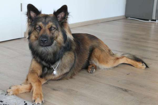 Fotochallange Nr. 57     PORTRÄT.   Beendet!!!!!!!!-Beitrag-Bild