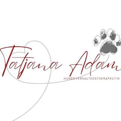 Hundeschulen-Hundeschule Meisterpfoten-Bild