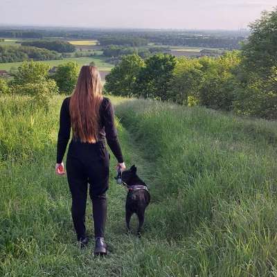 Hundetreffen-Spaziergang-Profilbild