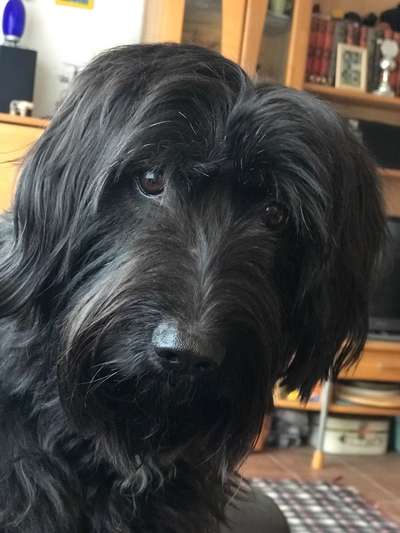 Fotochallange Nr. 57     PORTRÄT.   Beendet!!!!!!!!-Beitrag-Bild