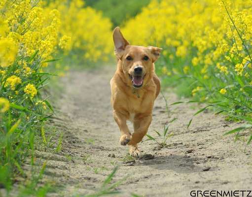 Fotowettbewerb Natur-Beitrag-Bild