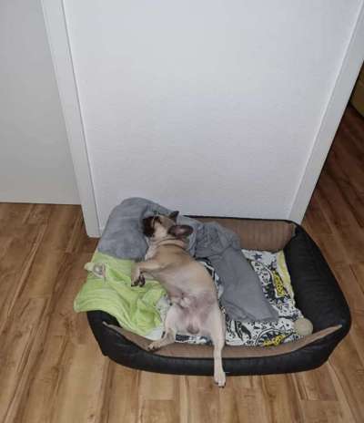 Fotochallenge Nr.65-Beitrag-Bild