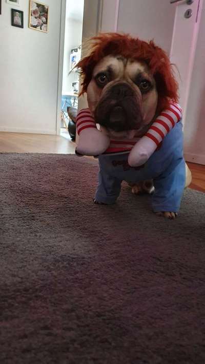 LUSTIGE FOTOS! WER KANN MITHALTEN?-Beitrag-Bild