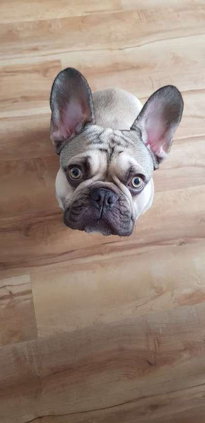 Fotochallange Nr. 57     PORTRÄT.   Beendet!!!!!!!!-Beitrag-Bild