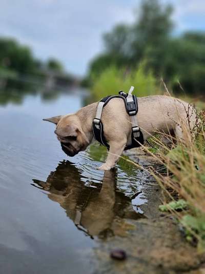42.Fotochallenge - Eure schönen Momente beim Spaziergang-Beitrag-Bild
