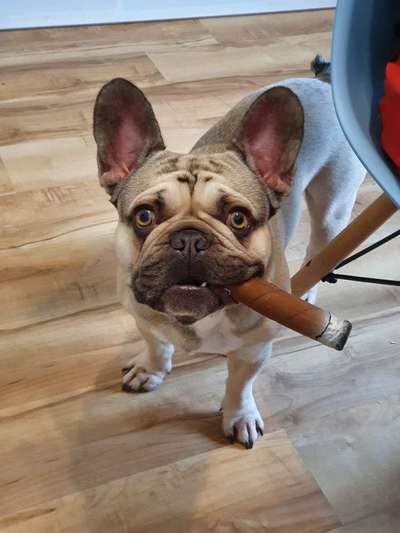 Fotochallenge Nr. 64-Beitrag-Bild