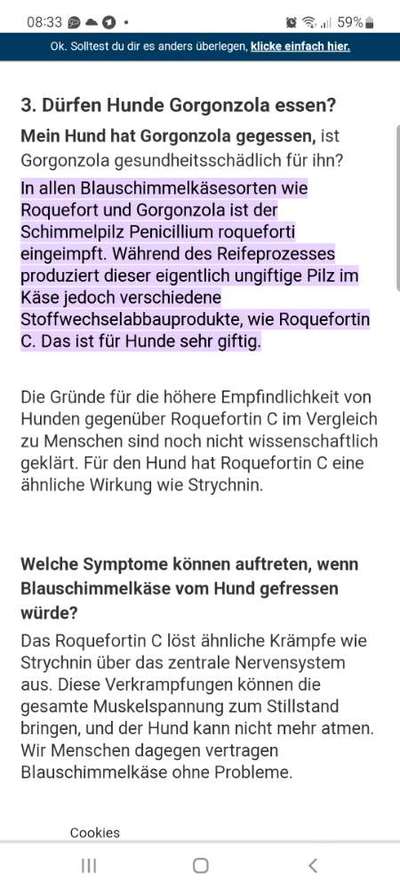 Käse für den Hund-Beitrag-Bild