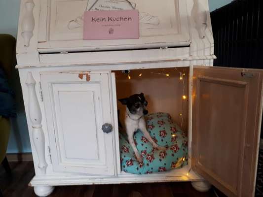 Möbel zur Hundebox umbauen-Beitrag-Bild