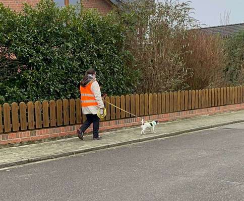 Mantrailing-Beitrag-Bild