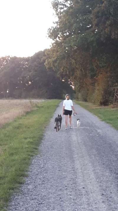 Hunde und Kinder-Beitrag-Bild