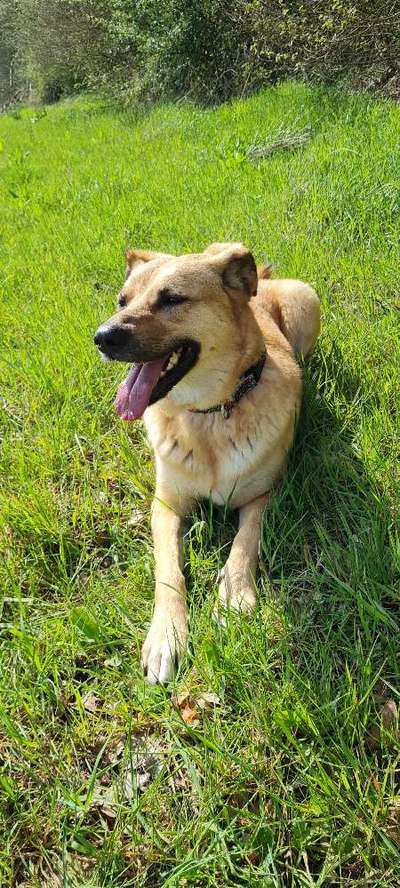 Zeigt eure Portraits-Beitrag-Bild