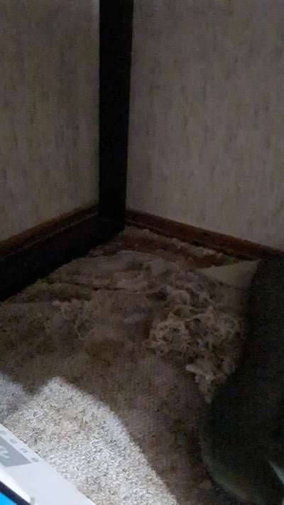 Geschreddert!-Beitrag-Bild