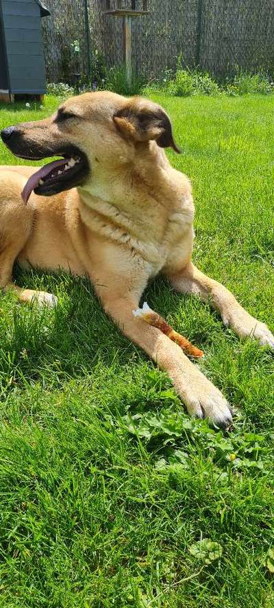 Urlaub Dänemark-Beitrag-Bild