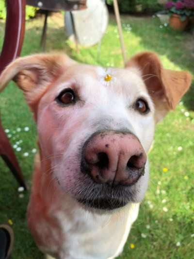 Zeigt eure Portraits-Beitrag-Bild