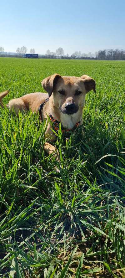 Fotochallenge No. 26                                     Wald und Wiese-Beitrag-Bild