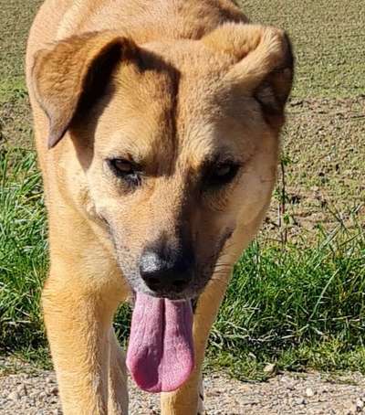 Fotochallange Nr. 57     PORTRÄT.   Beendet!!!!!!!!-Beitrag-Bild