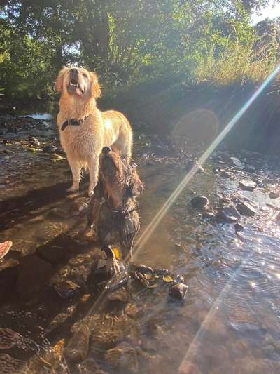 Foto-Challange No.1 - Alles aber nicht die Kamera-Beitrag-Bild