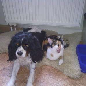 CHALLENGE Nr.17-Beitrag-Bild