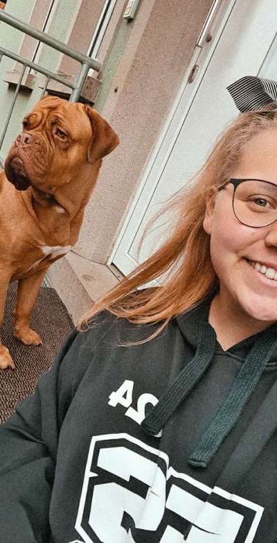 Bordeauxdoggen hier?-Beitrag-Bild