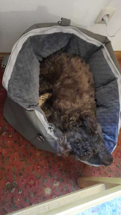 Impulskontrolle Challenge Nr.: 7
         "Gesellschaftsfähig"-Beitrag-Bild