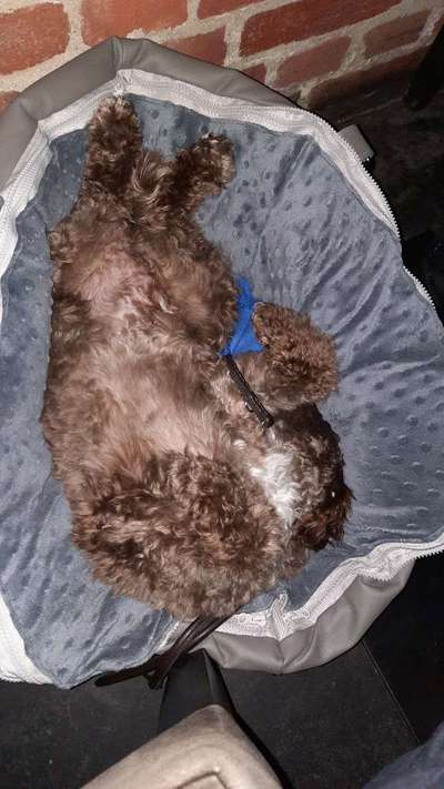 Impulskontrolle Challenge Nr.: 7
         "Gesellschaftsfähig"-Beitrag-Bild