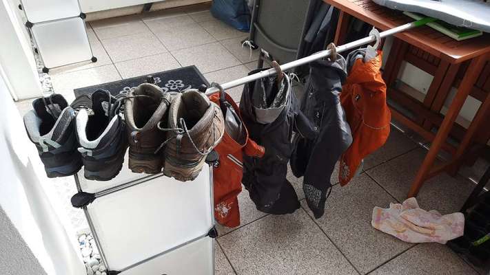 Hundekleidung - Top oder Flop-Beitrag-Bild