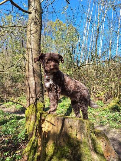 Häufige Vorurteile-Beitrag-Bild