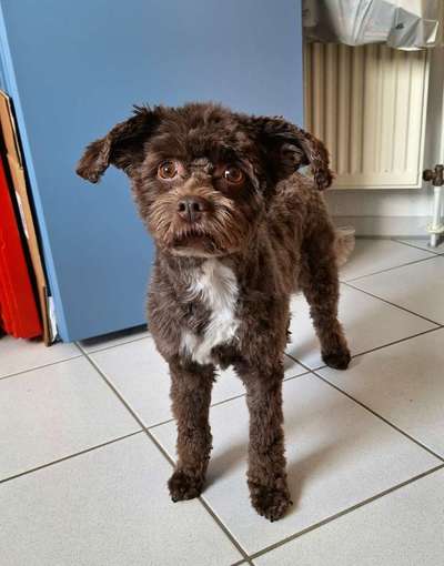 Vor dem Friseur - nach dem Friseur-Beitrag-Bild