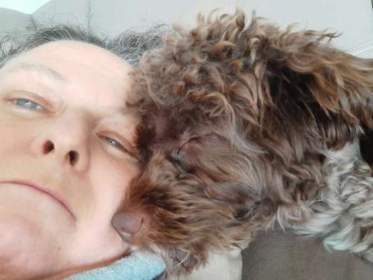 Vertrauen zwischen Hund und Halter-Beitrag-Bild