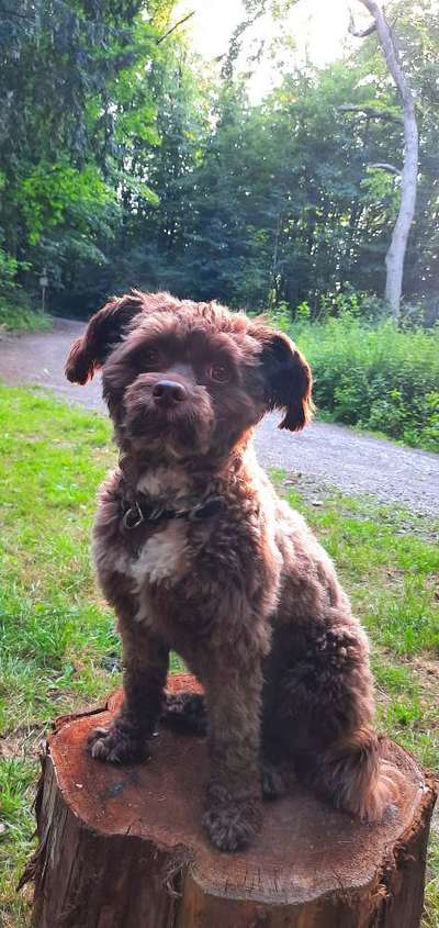 Ist das ein...?-Beitrag-Bild