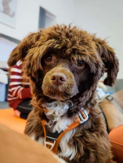 Ist das ein...?-Beitrag-Bild