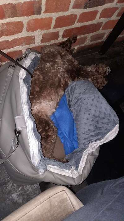 Impulskontrolle Challenge Nr.: 7
         "Gesellschaftsfähig"-Beitrag-Bild