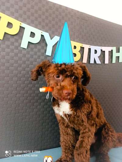 Geburtstagsbilder-Beitrag-Bild