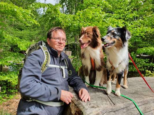 Challenge 33 - Du und dein Hund-Beitrag-Bild