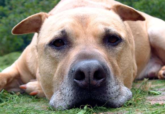 28. Farben Foto Challenge * BEIGE *-Beitrag-Bild