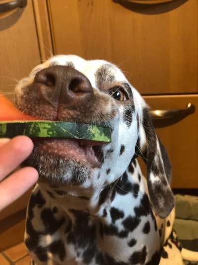 152. Foto Challenge: "Friss mir aus der Hand"-Beitrag-Bild