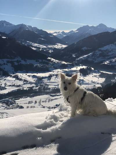 Gen-Test Empfehlungen-Beitrag-Bild